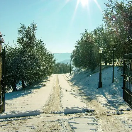 Degli Ulivi 3* Arcugnano