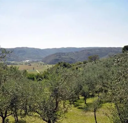 Degli Ulivi Ξενοδοχείο 3*