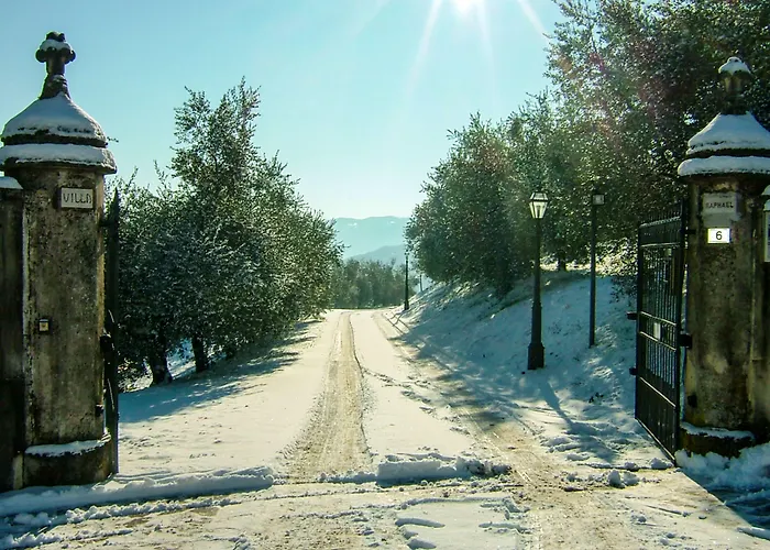 Degli Ulivi 3* Arcugnano