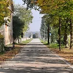 Degli Ulivi 3*