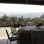 Degli Ulivi